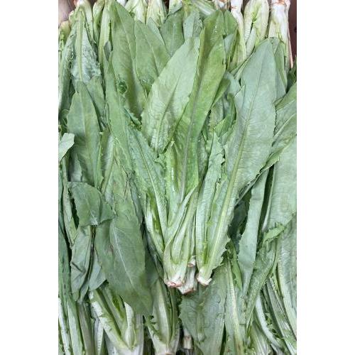 油麦菜/500g
