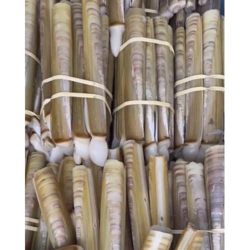 新鲜蛏子/KG