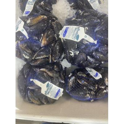 新鲜青口/袋1KG