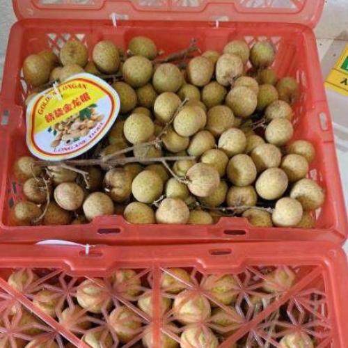 2kg新鲜龙眼/箱（质量非常好，甜）